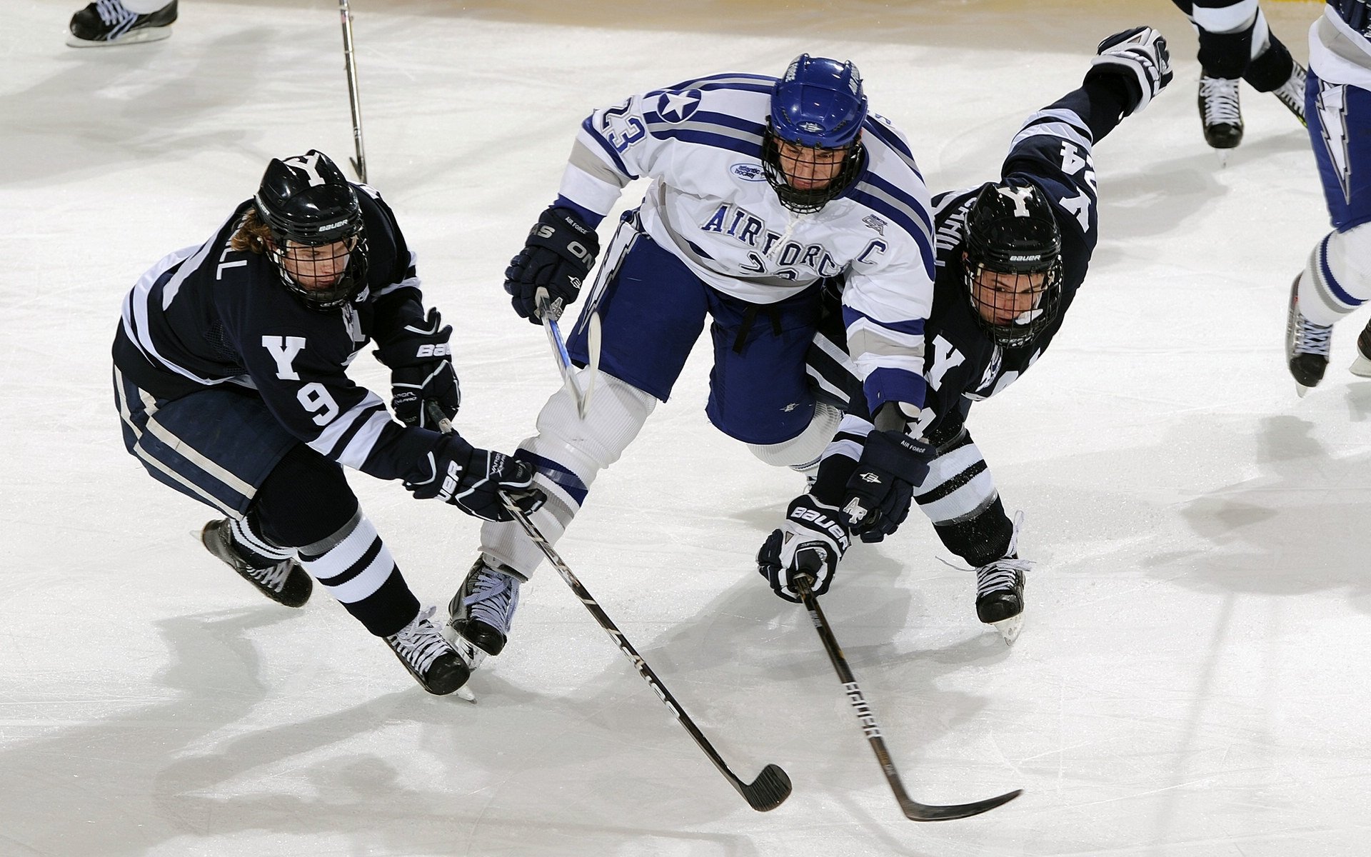 _女子网球排名最新公布，局势再度激烈变化_，女子网球世界排名榜